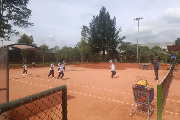 Tenis