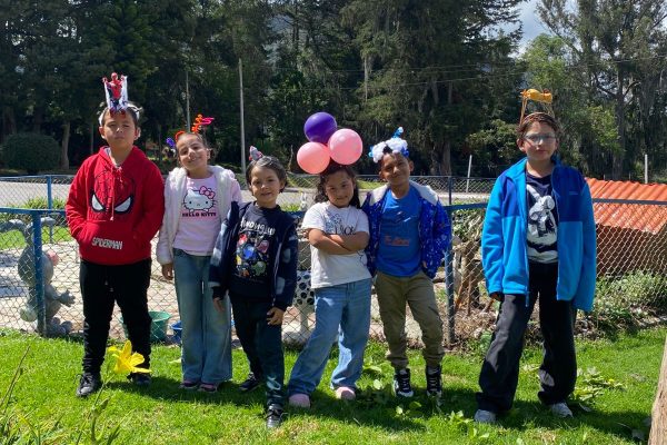 WhatsApp Image 2026-04-24 at 11.35.16